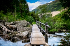 binn_180617_-(84)