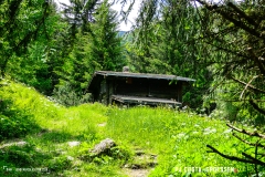 binn_180617_-(87)