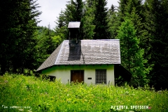 binn_180617_-(88)