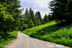 binn_180617_-(89)