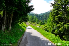 binn_180617_-(91)