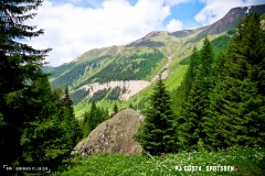 binn_180617_-(92)