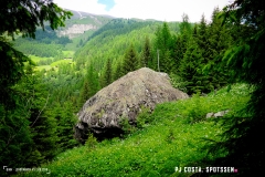 binn_180617_-(94)