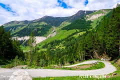 binn_180617_-(95)