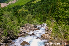 binn_180617_-(96)