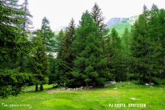 binn_180617_-(98)