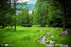 binn_180617_-(99)