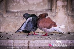 avignon_180727__-24