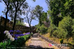 leiria_chateau_180720_-6