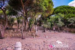 lisbonne_180719_-22