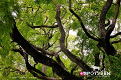 lisbonne_180719_-77