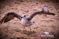 nazare_180722_-1