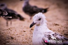 nazare_180722_-11