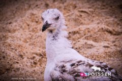 nazare_180722_-12