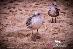 nazare_180722_-3