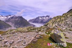 aletsch_180811_-107