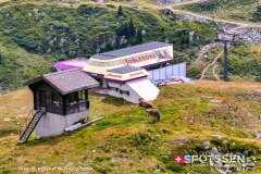 aletsch_180811_-122