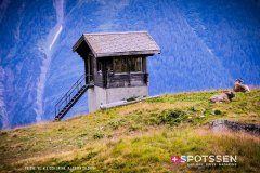 aletsch_180811_-127