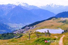 aletsch_180811_-136