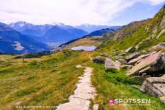 aletsch_180811_-137