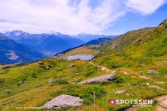 aletsch_180811_-138