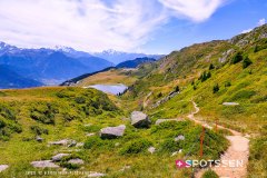 aletsch_180811_-139