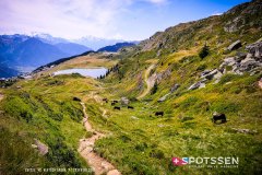 aletsch_180811_-141