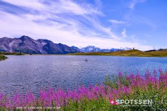 aletsch_180811_-148