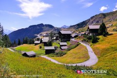 aletsch_180811_-162