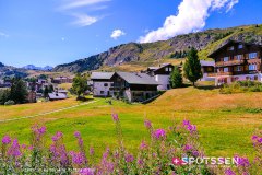 aletsch_180811_-163