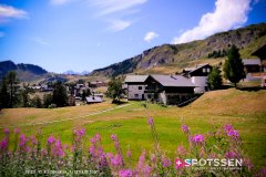 aletsch_180811_-164