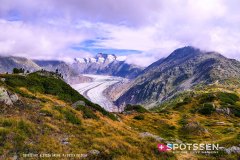 aletsch_180811_-23
