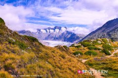 aletsch_180811_-32
