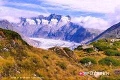aletsch_180811_-33