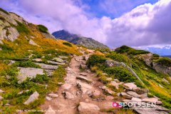 aletsch_180811_-34