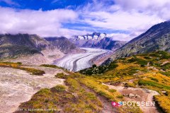 aletsch_180811_-35