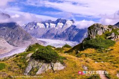 aletsch_180811_-39