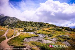 aletsch_180811_-40