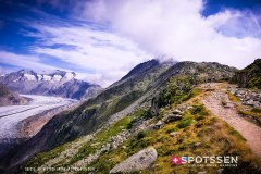 aletsch_180811_-47