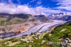 aletsch_180811_-49
