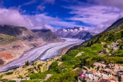 aletsch_180811_-50
