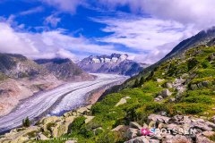 aletsch_180811_-51
