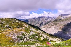 aletsch_180811_-53