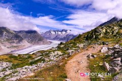 aletsch_180811_-56