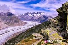 aletsch_180811_-66