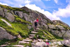 aletsch_180811_-67