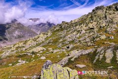 aletsch_180811_-75
