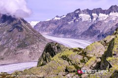 aletsch_180811_-78