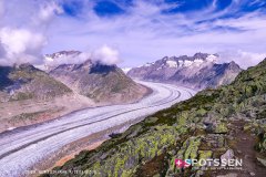 aletsch_180811_-83