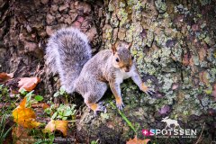 londres_180914__-157